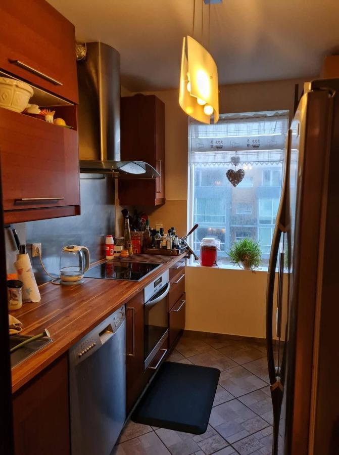 Cozy Stay In Downtown רייקיאוויק מראה חיצוני תמונה